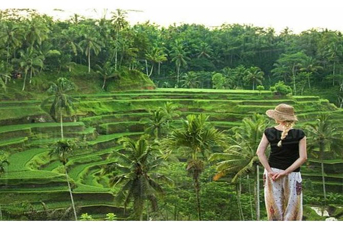 Private Tour: Campuhan Ridge Walk, Ubud Rice Terrace & Ubud Palace - Frequently Asked Questions