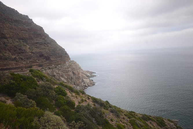 Private Tour: Cape of Good Hope & Boulders Beach Penguin Colony - Tour Pricing