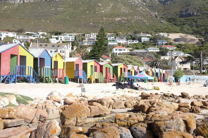 Private Tour: Cape Of Good Hope & Wine Tasting - Wine Tasting Experience