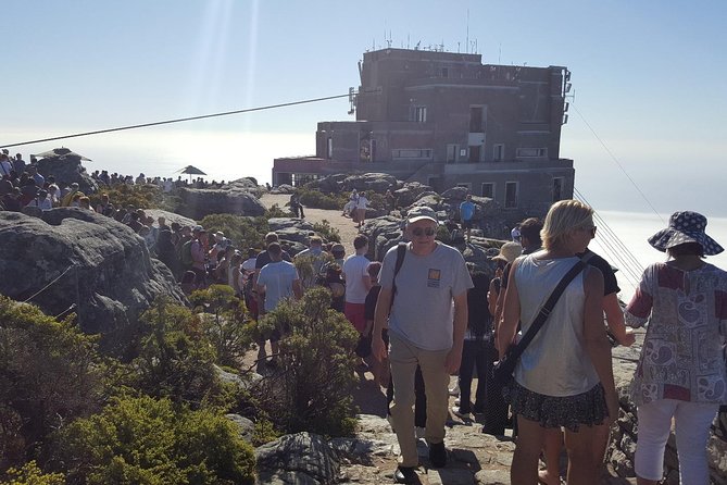 Private Tour: Cape Town City and Table Mountain From Cape Town - Exploring Table Mountain