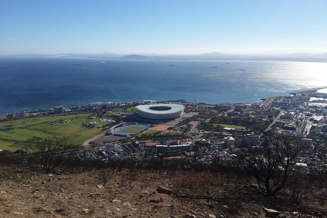 Private Tour: Cape Town City and Table Mountain From Cape Town - Discovering Cape Towns Sights
