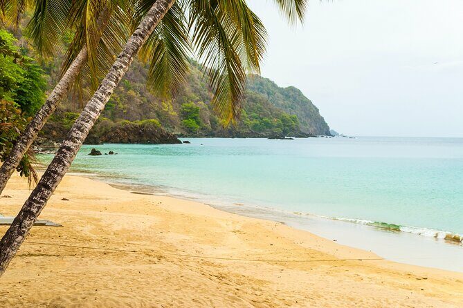 Private Tour Castara Bay from Tobago - Key Points