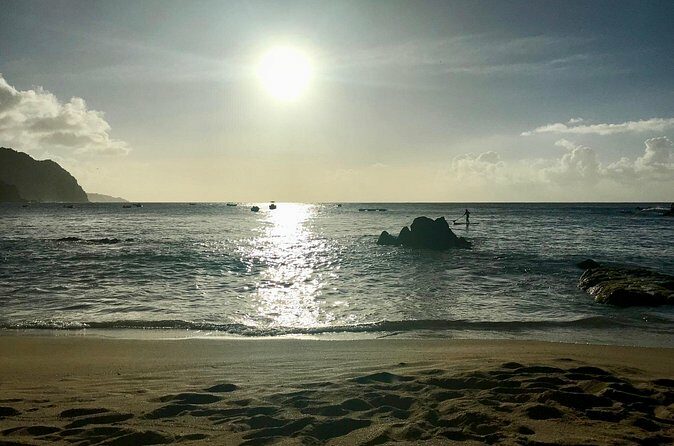 Private Tour Castara Bay from Tobago - Pricing and Value
