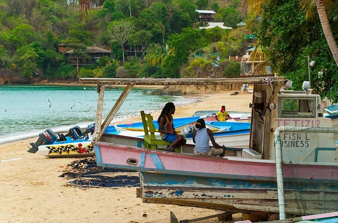 Private Tour Castara Bay from Tobago - Who Should Consider This Tour?