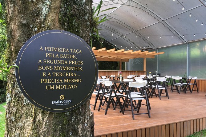 Private Tour Cave Geisse + 2 Wineries From Pinto Bandeira RS - Exploring Cave Geisse