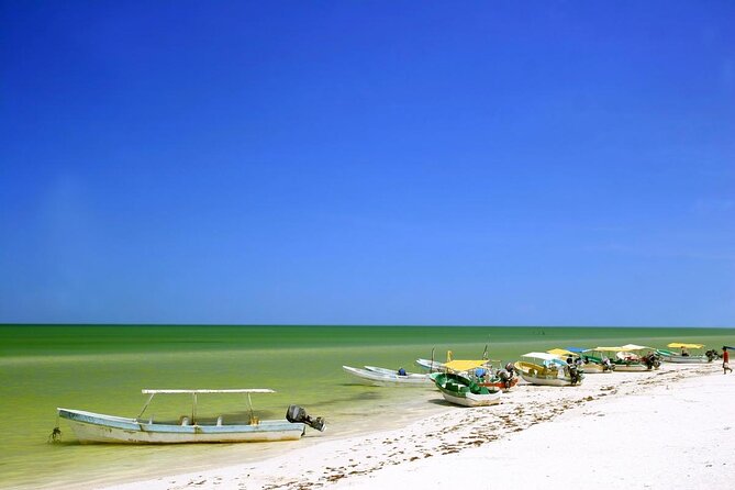 Private Tour: Celestun Biosphere Reserve by Yucatan Concierge - Key Points
