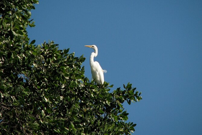 Private Tour: Celestun Biosphere Reserve by Yucatan Concierge - Booking Process Tips