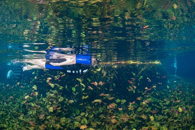 Private Tour Cenote Taak Bi Ha and Nicte Ha From Tulum Hotels - Certification and Safety Measures