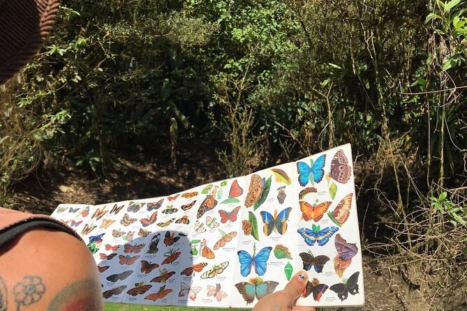 Private Tour - Cerro Gaital Natural Monument Trail - Key Points