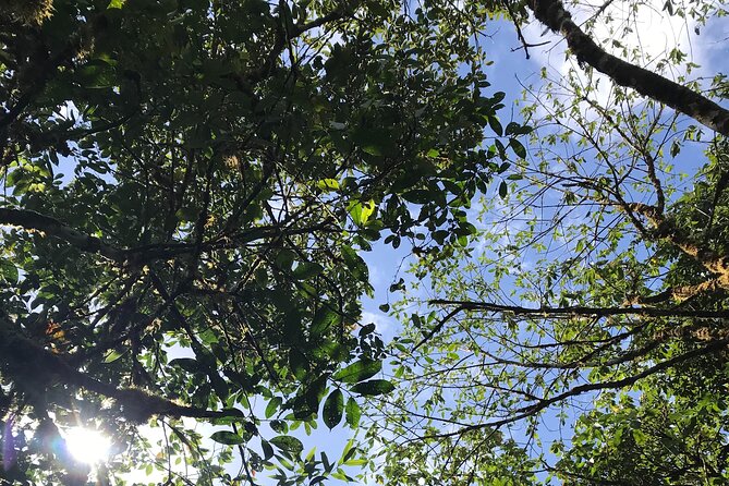 Private Tour - Cerro Gaital Natural Monument Trail - Accessibility and Health Considerations
