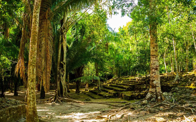 Private Tour: Chacchoben Mayan Ruins From Costa Maya - Reserve Now & Pay Later