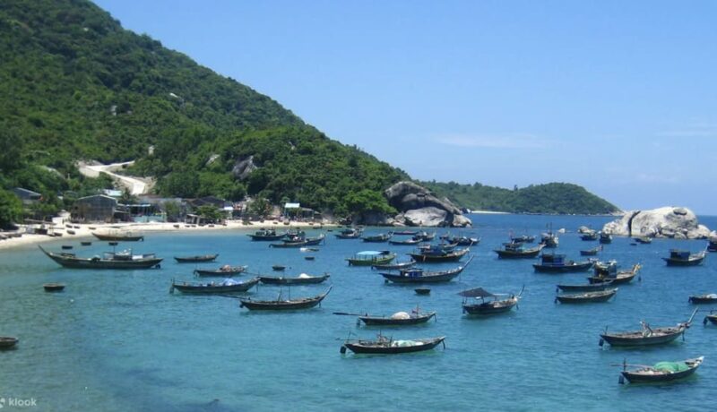 Private Tour: Cham Islands Snorkeling Trip - Itinerary