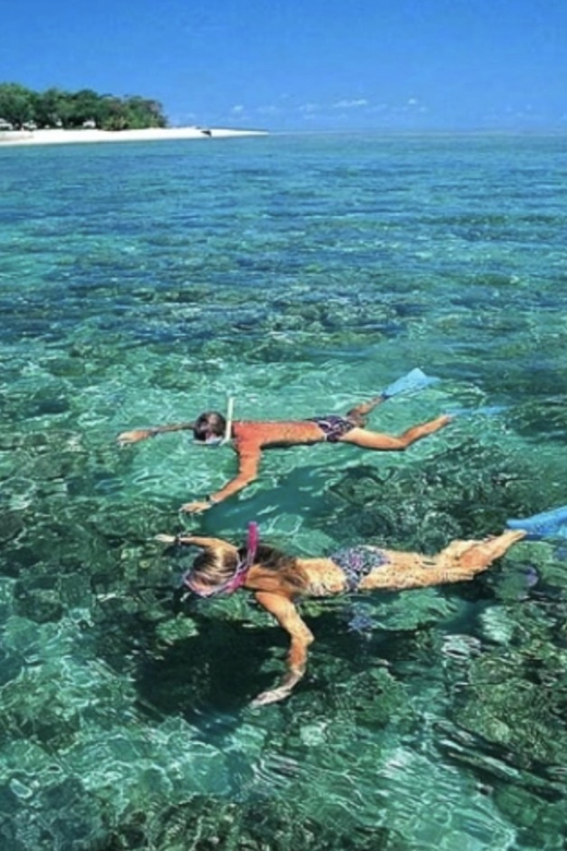 Private Tour: Cham Islands Snorkeling Trip - Inclusions