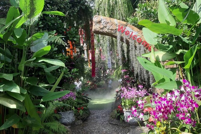 Private Tour Chiang Rai 3 Wonderful Temples & Lalitta Cafe - Itinerary Highlights