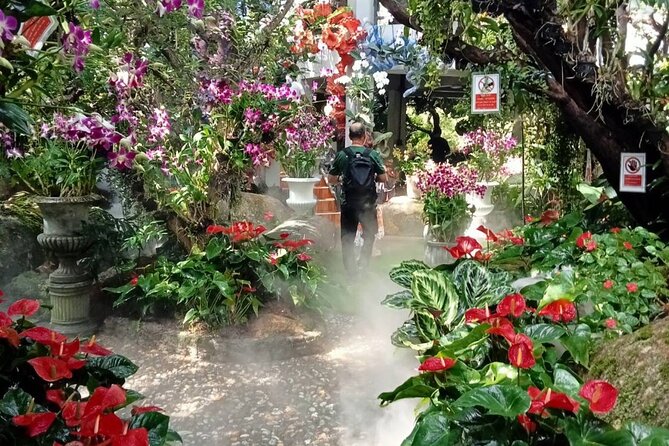 Private Tour Chiang Rai 3 Wonderful Temples & Lalitta Cafe - Wat Huay Pla Kang (Red Temple)