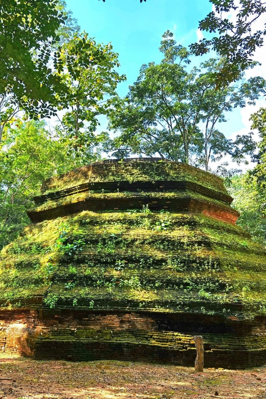 Private Tour Chiangmai , Explore Hidden Gems Lanna Temple - Exclusions