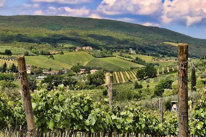 Private Tour: Chianti Winery, Montefioralle, and Greve in Chianti - Wine Tasting Experience