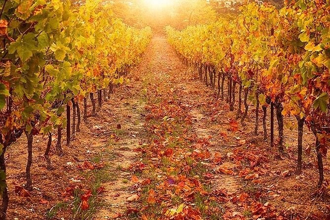 Private Tour: Chianti Winery, Montefioralle, and Greve in Chianti - Historic Buildings and Scenic Views