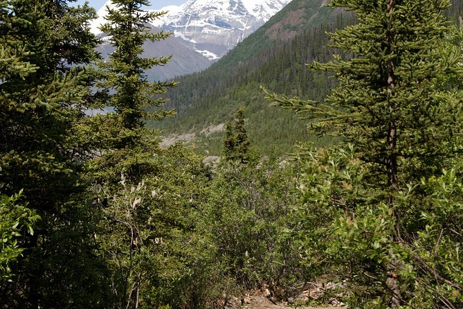 Private Tour: Chugach State Park Hiking Tour From Anchorage - Fitness Level and Accessibility