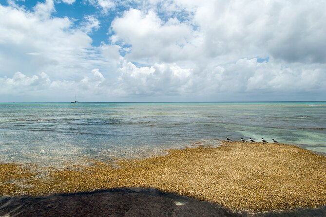 Private Tour Cockburn Town Cultural With Rum Cake - Inclusions and Amenities