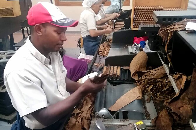 Private Tour: Cocoa, Coffee, Local Market and Cigars Factory - Culinary Experience