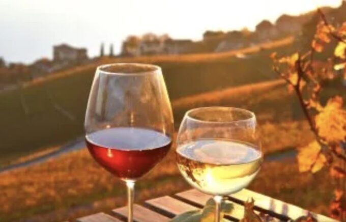 Private Tour Coffee and Wine: The Best of Both Worlds - Transportation and Group Information