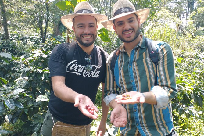 Private Tour Coffee Farm Coloma Transportation+Lunch - Customer Reviews