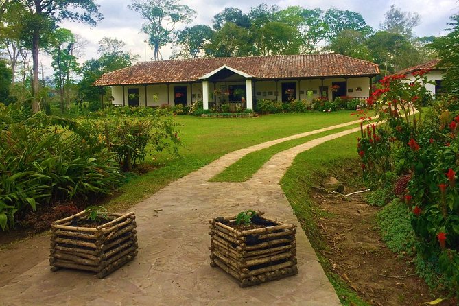 Private Tour - Coffee Tour (Cultivations) - Key Points