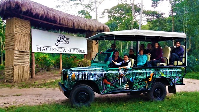 Private Tour - Coffee Tour (Cultivations) - Inclusions