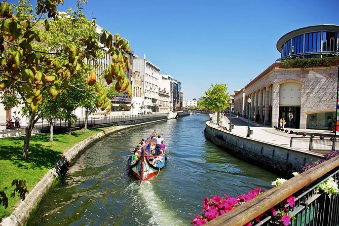Private Tour: Coimbra (World Heritage) & Aveiro (Little Venice) Tour Day Trip From Lisbon With Lunch - Positive Customer Reviews