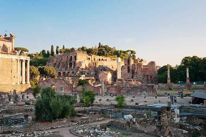 Private Tour: Colosseum & Imperial Rome Art History Walking Tour - 3207A - Roman Forum Exploration