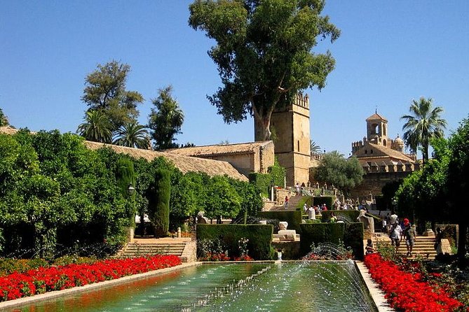 Private Tour: Cordoba Day Trip From Granada - Additional Information