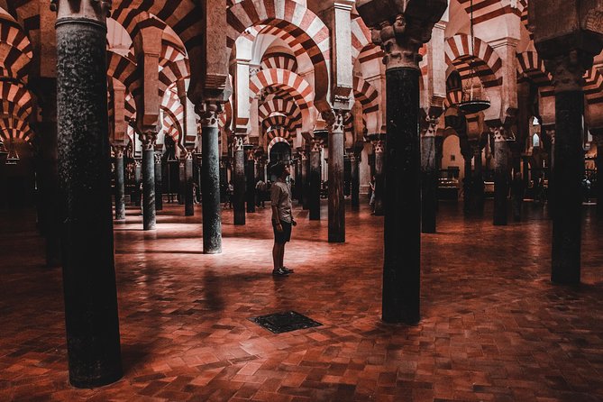 Private Tour: Cordoba Day Trip From Granada - Moorish Monuments