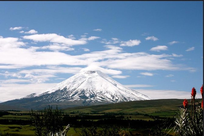 Private Tour Cotopaxi National Park, Hike to 4800 Meters - Participant Requirements