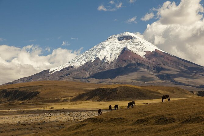 PRIVATE Tour, Cotopaxi, Natural Wonders - Key Points