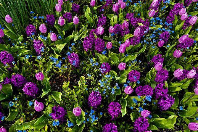 Private Tour Countryside Drive to Butchart Gardens & Victoria - Who Will Love This Tour?