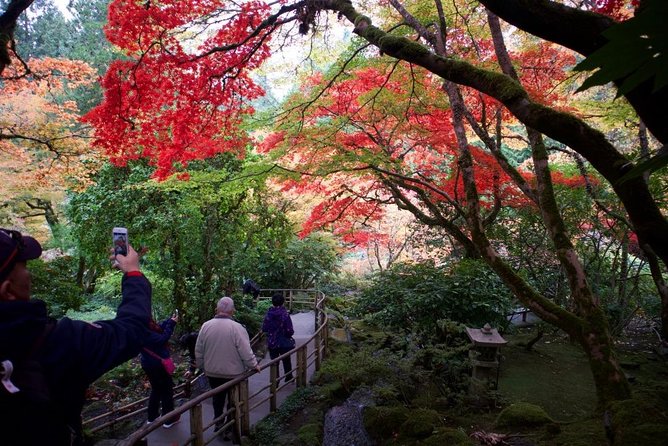 Private Tour Countryside Roads to Butchart Gardens & City - 5 Hrs - Not Included in Tour