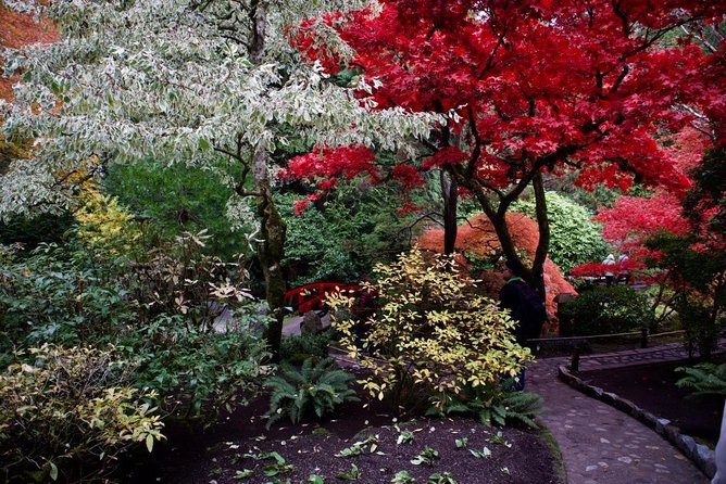 Private Tour Countryside Roads to Butchart Gardens & City - 5 Hrs - Tour Accessibility