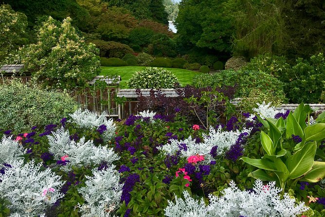 Private Tour Countryside Roads to Butchart Gardens & City - 5 Hrs - Suggested Start Times