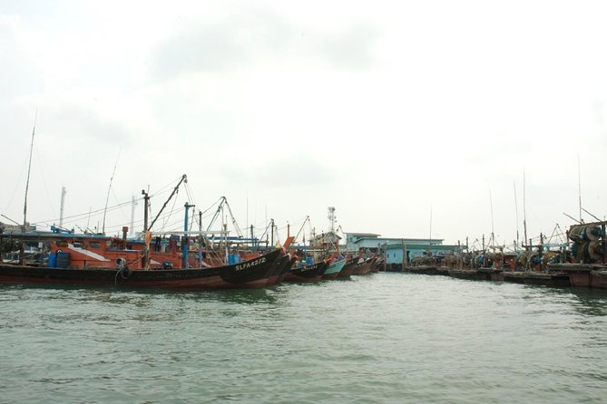 Private Tour: Crab Island Sightseeing Boat Ride and Seafood Lunch - Transportation and Pickup