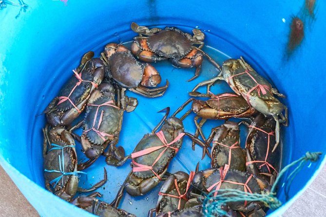 Private Tour: Crab Island Sightseeing Boat Ride and Seafood Lunch - Inclusions and Exclusions