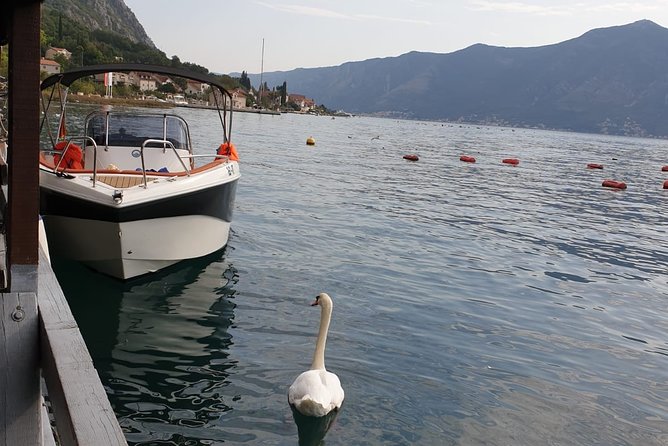 Private Tour: Custom Made (Charged per Hour) - Traveler Participation