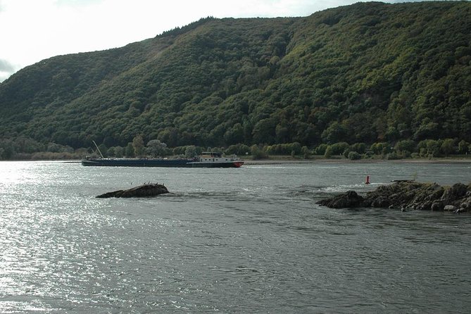 Private Tour: Customizable Rhine Valley Day Trip From Frankfurt - Tour Duration and Price