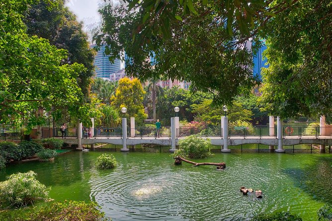 Private Tour: Customized 6-Hour Hong Kong City Tour - Tour Highlights