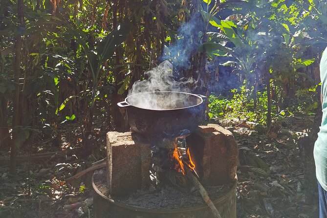 Private Tour Damajagua Waterfalls and Dominican Flavours - Culinary Delights