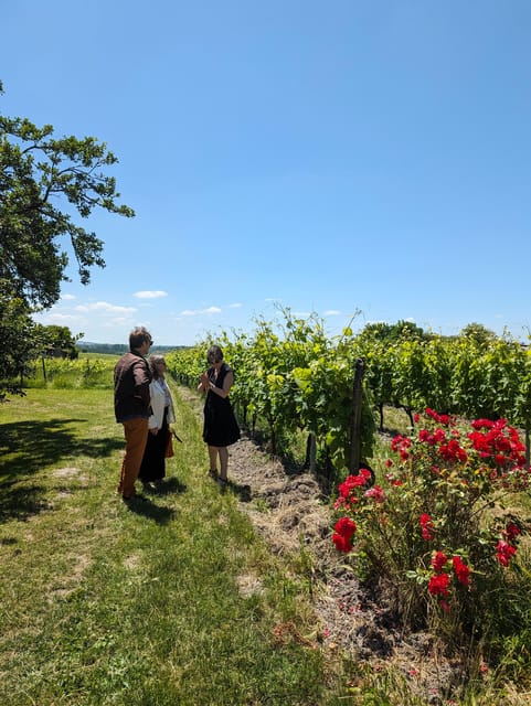 Private Tour Day in the Heart of the Cognac Vineyards - Key Points