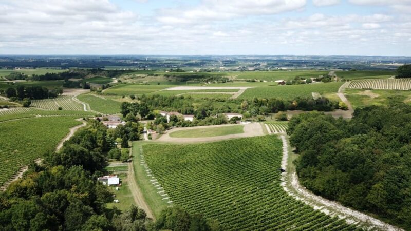 Private Tour Day in the Heart of the Cognac Vineyards - Guided Tour and Wine Tasting at Family Estates