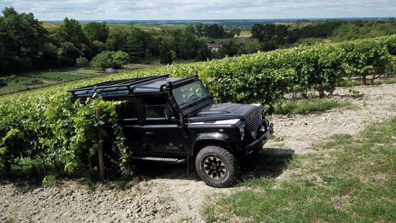 Private Tour Day in the Heart of the Cognac Vineyards - Country-Style Tasting and Picnic