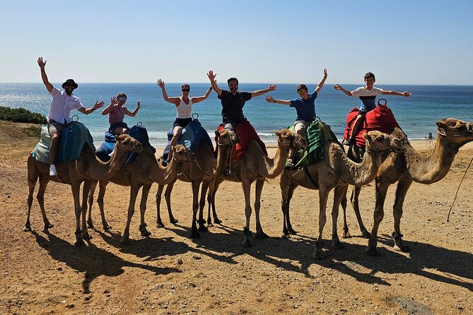 Private Tour: Day Through Gibraltar and Morocco, Tangier From Seville - Key Points