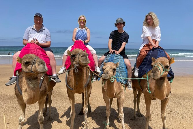 Private Tour: Day Through Gibraltar and Morocco, Tangier From Seville - Exploring Gibraltar